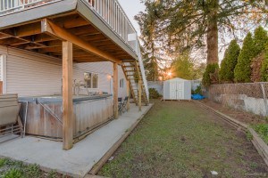 3361 Rae Street - Backyard